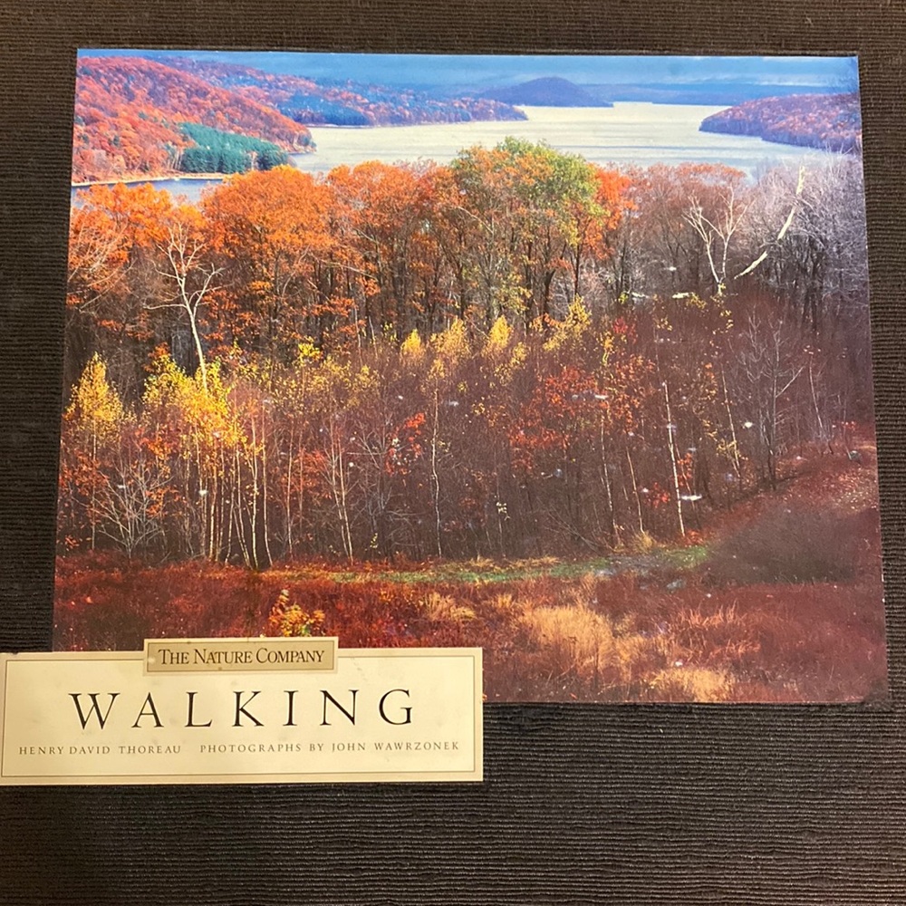 “Walking”